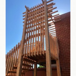 macrocarpa timber staircase